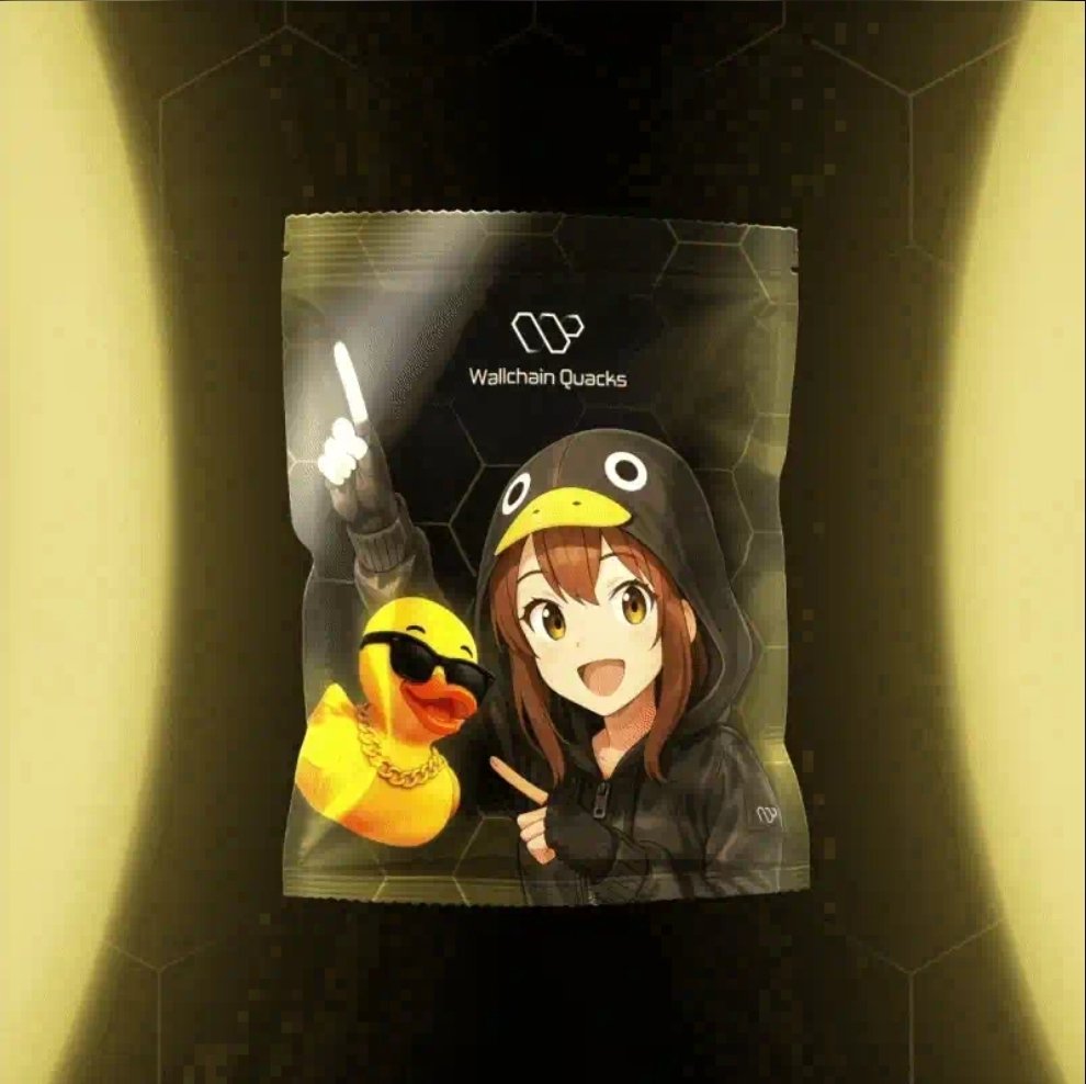 I minted my <a href="/wallchain/">Wallchain Quacks</a> 🤩