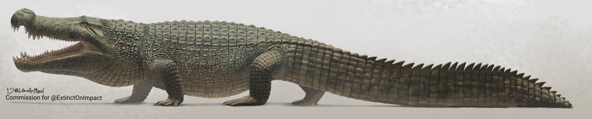 LiterallyMiguel's tweet photo. Deinosuchus riograndensis, a robust, and very menacing 9+ meters long eusuchian from the cretaceous, with proportionately giant jaws compared to its body, it was very at home in water, including seas https://t.co/Klpfuf9yCP