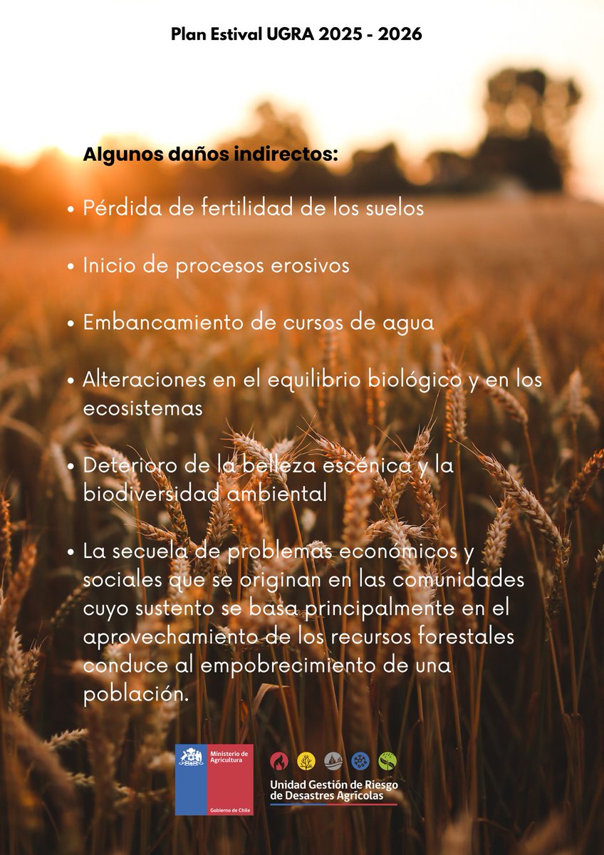 🔥¿Cuáles son los daños directos e indirectos de un incendio? es importante conocerlos para la prevención.
<a href="/conaf_minagri/">CONAF - Corporación Nacional Forestal</a> <a href="/incendios_CONAF/">CONAF - Incendios forestales</a> <a href="/Senapred/">SENAPRED</a> 
<a href="/MinagriCL/">Ministerio de Agricultura de Chile 🇨🇱</a> <a href="/Sub_Agricultura/">Subsecretaría de Agricultura</a>