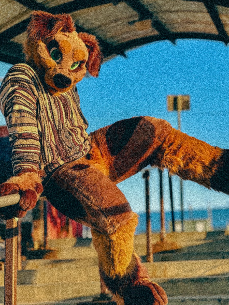 You cant pass until you admit howl cute you are 🥹

📍 Anchorage, Alaska