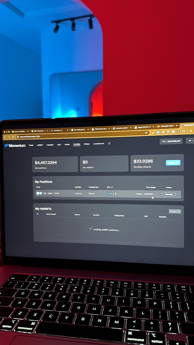 Added $5k to mmt liquidity pool so i could get some allocation

✅ Lost $600 from pool dip
✅ Didn’t get any allocation 

on the bright side i got $33 in yields, W.