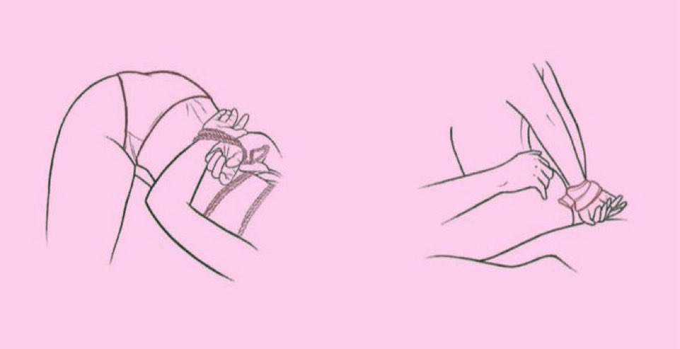 circirbocegisi's tweet image. 