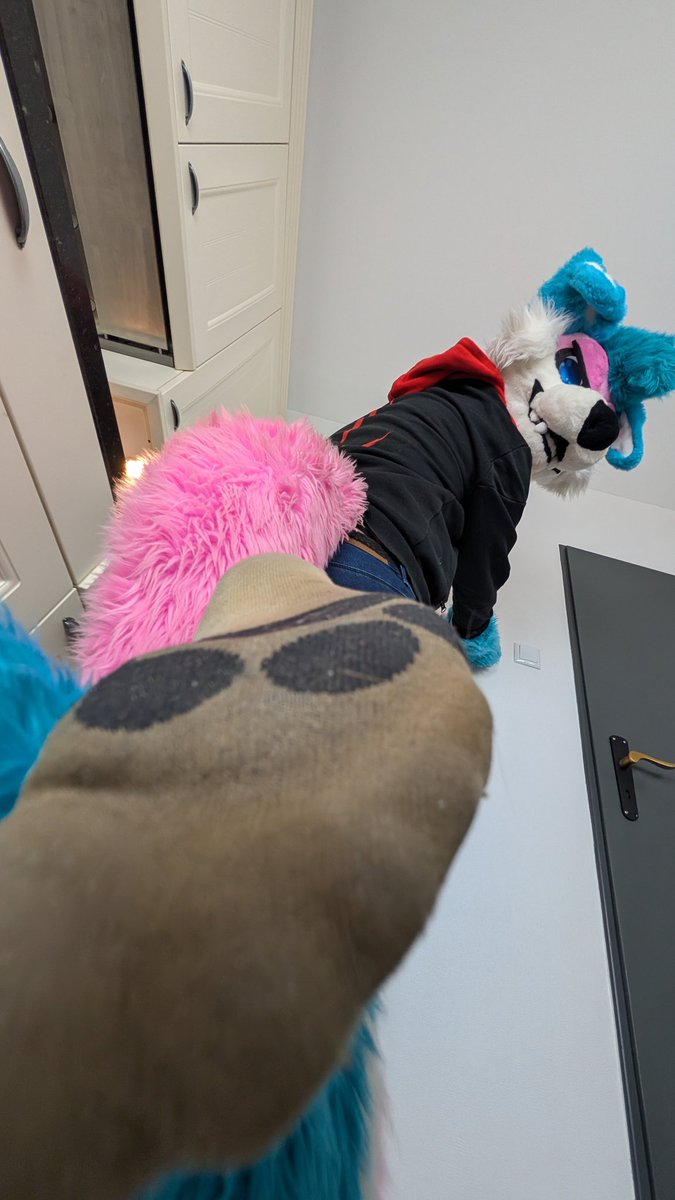 Melly Paws AD tweet media