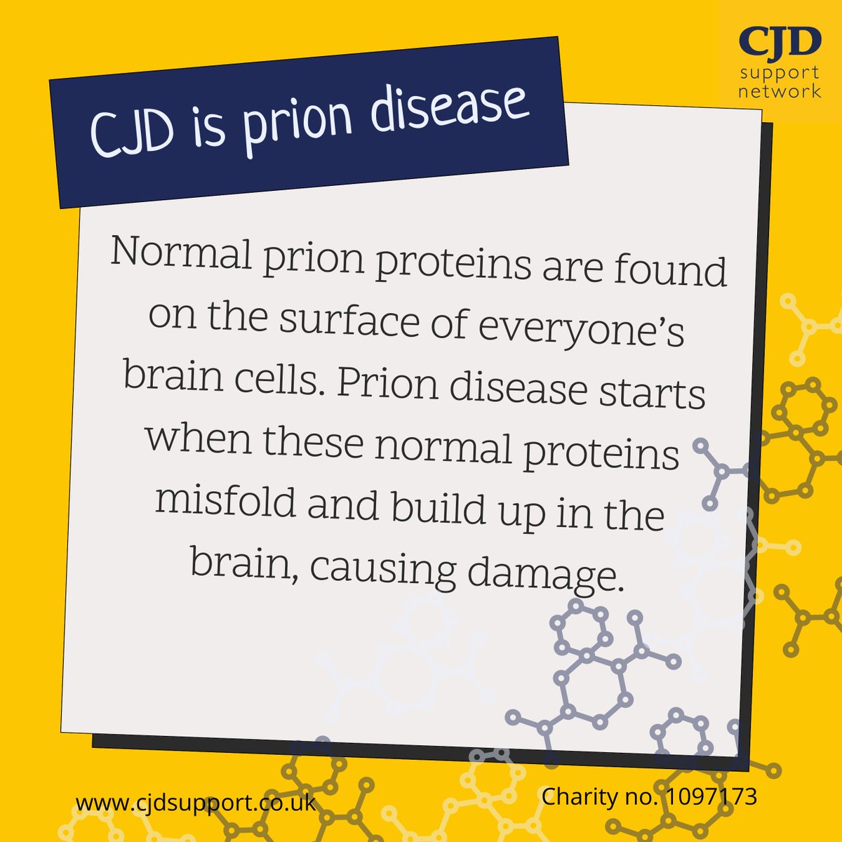 supportcjd's tweet image. We are proud to recognise International Creutzfeld-Jakob Disease Awareness Day  today. Members of the global prion disease community come together to raise awareness of CJD and prion diseases, highlight support and recognise ongoing research.
#CJDAwareness
#PrionDiseaseAwareness