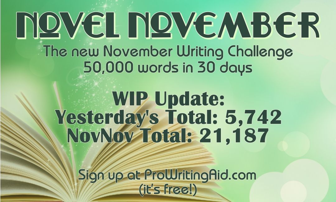 AllieMcCormackK's tweet image. #NovelNovember update:
Yesterday (11/10): 6,156
NovNov Total: 27,343

#amwriting
(but I still miss #NaNoWriMo)
