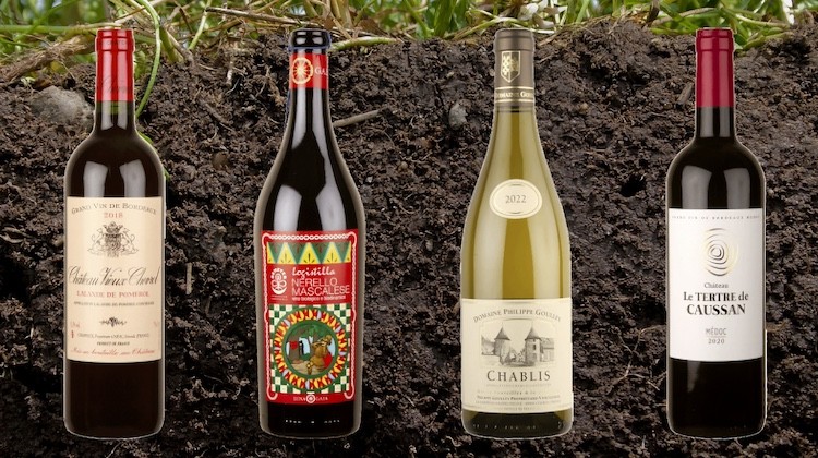 SalvoNEWS tweet media