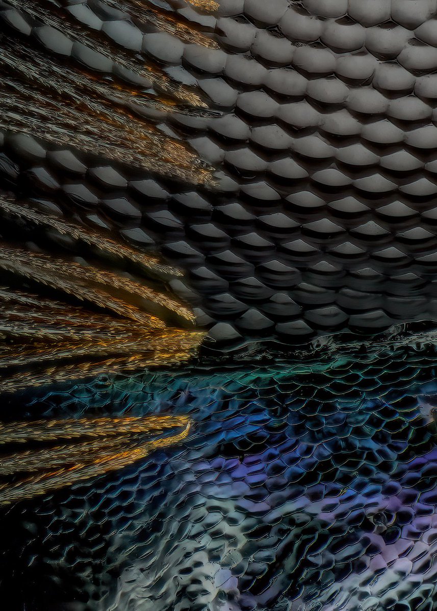 Thorben Danke tweet media