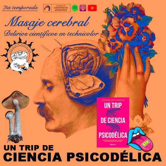 codigo21_radio's tweet photo. 🧠 ¿Hasta dónde te puede llevar la mente @claudifonos y @cotahiriart reciben a la autora @alita_emo para sumergirte en un viaje psicodélico dentro de #MasajeCerebral 🌱🍄

🕑 14:00 hrs.
🔗 https://t.co/5Xi3ppXmOP | https://t.co/kXMehXYKE5
#LoQueTienesQueEscuchar https://t.co/pSJ6KlBSmq