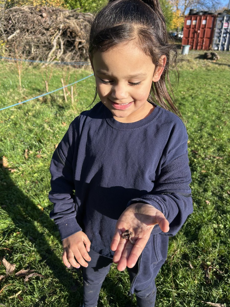 Lord Street Primary School tweet media