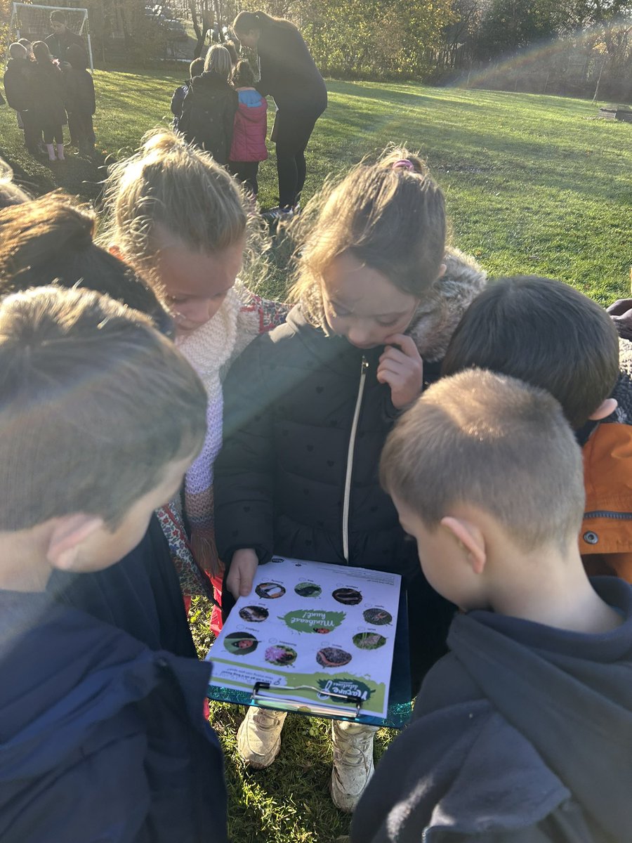 Lord Street Primary School tweet media