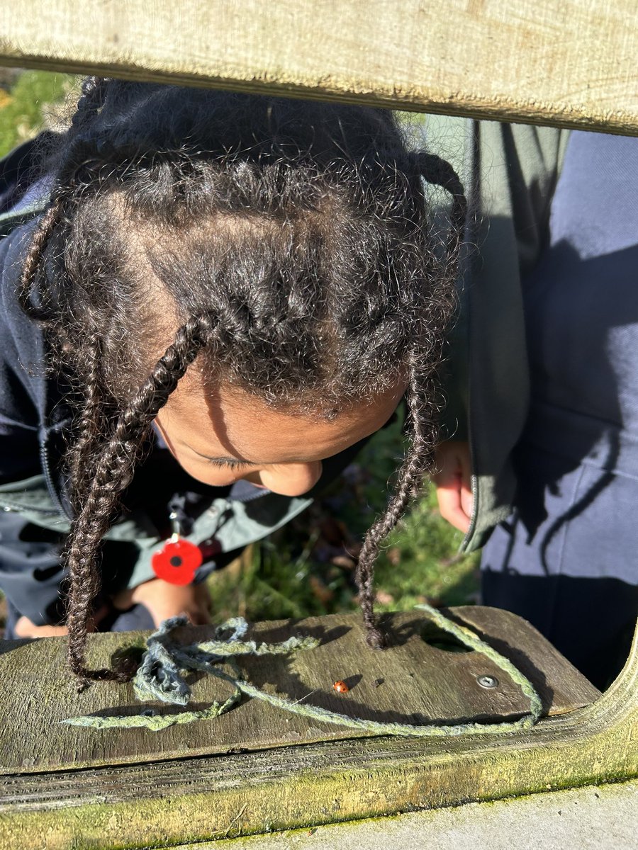 Lord Street Primary School tweet media