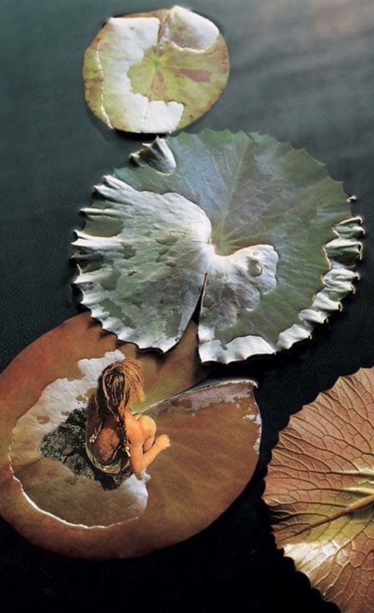 Oaknarrow's tweet image. 1/1 collages currently available on SR 

Top 25 artist this year on @SuperRare with zero curated drops or pushes from the platform. 

No announcements. No marketing team. No agency. 

70 one of one collages collected. 6 secondary sales. Just 4 available