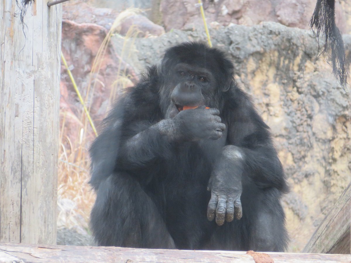 溝上万里央 on X