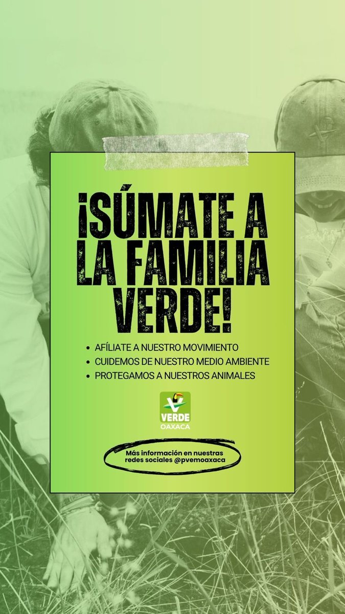¡Súmate al cambio por un Oaxaca más verde! 💚✅

Tu voz y tus acciones pueden marcar la diferencia en la protección de nuestra naturaleza, el bienestar animal y la construcción de comunidades más sostenibles. Participa, infórmate y sé parte del cambio que nuestro Estado necesita.