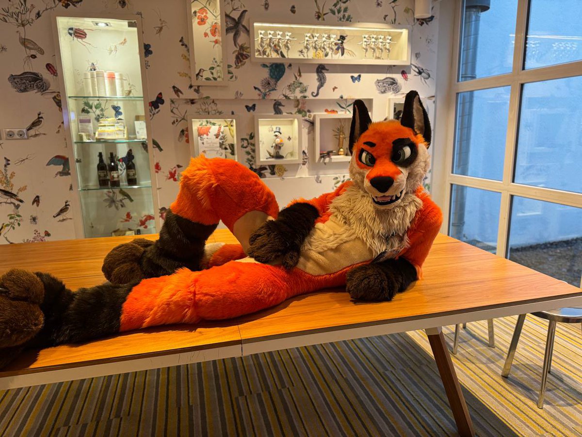 ᴹʳᶠᵒˣᵉᵉˢ ➡️ Faun tweet media