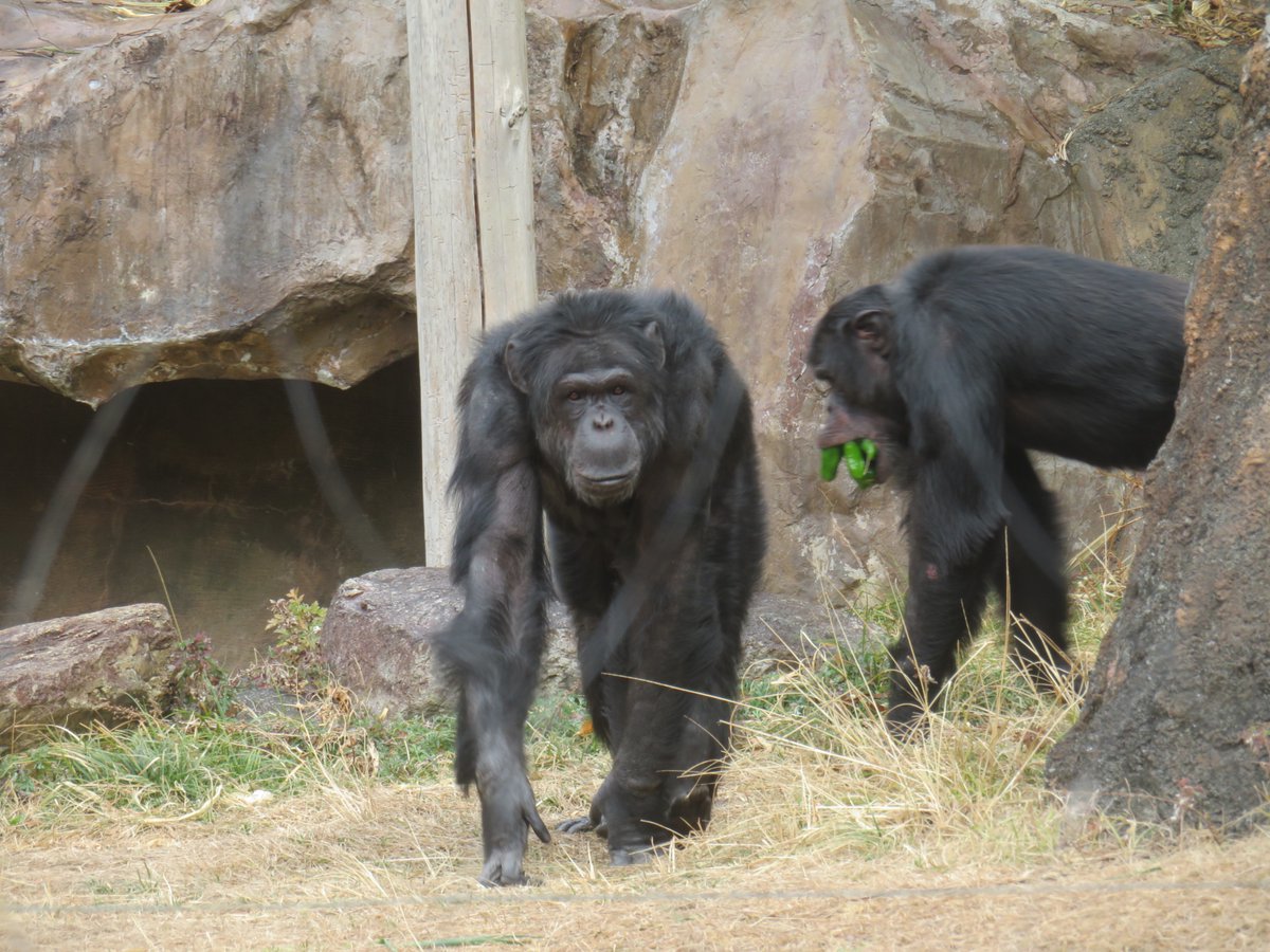 溝上万里央 on X