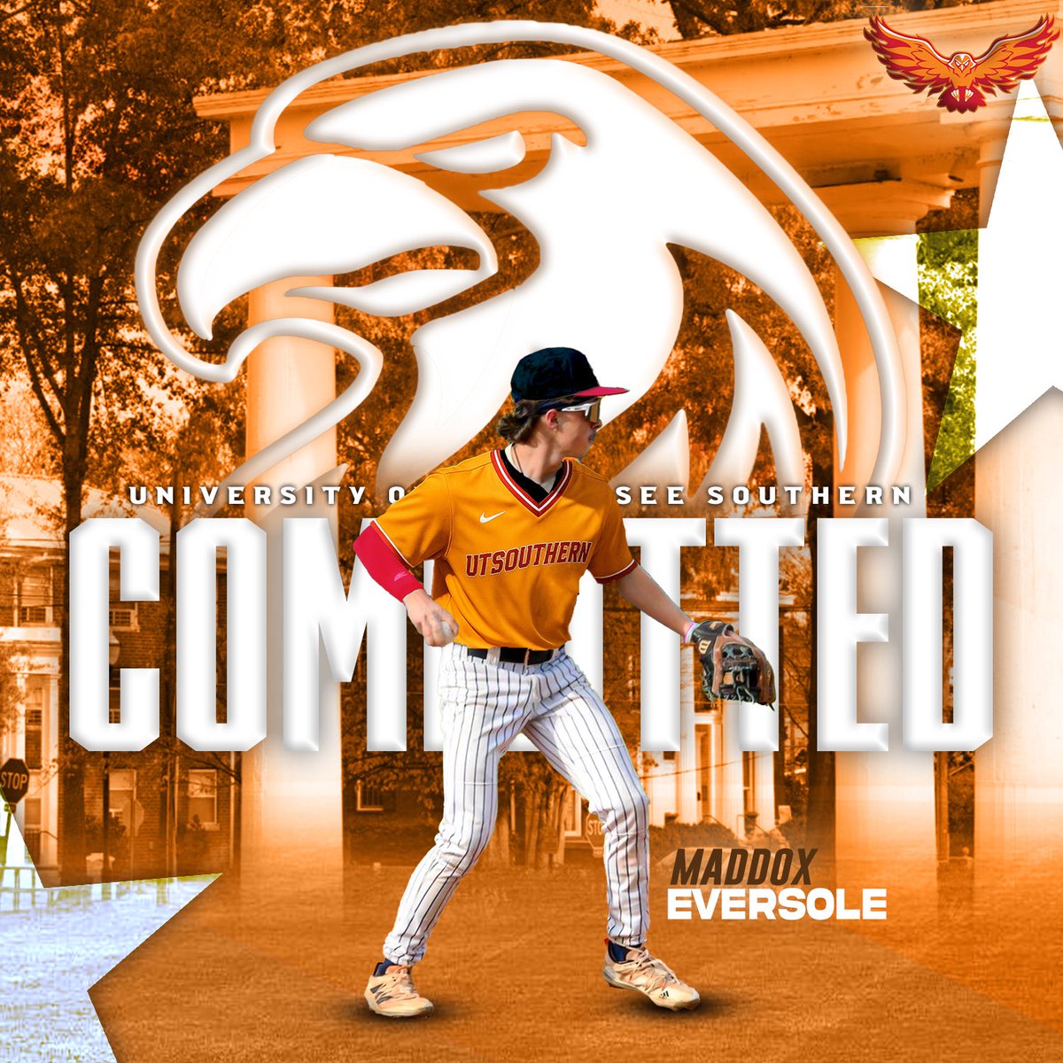 Soddy Daisy Baseball tweet media