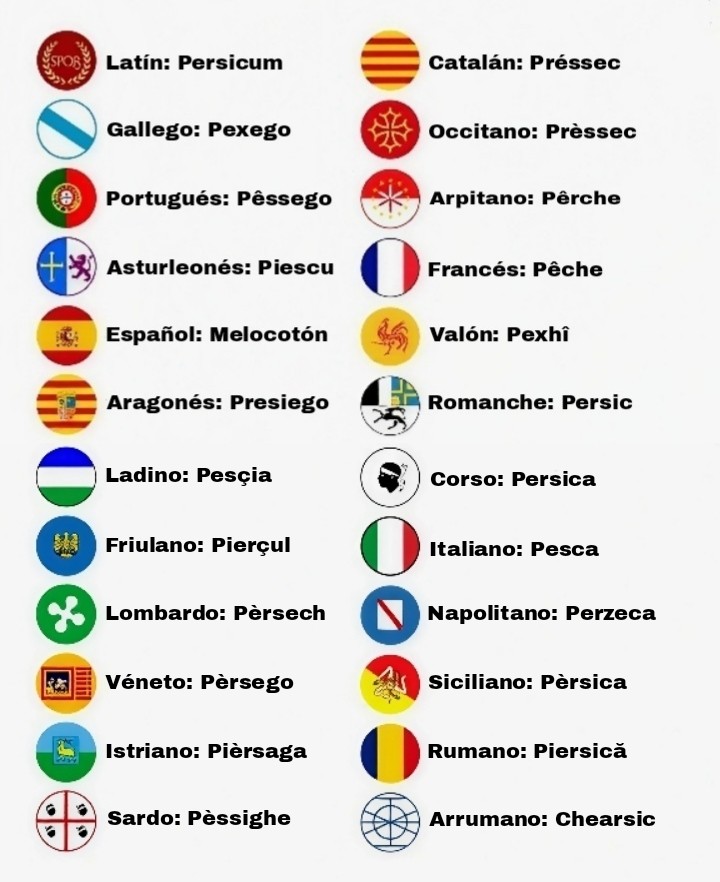 Lo del castellán ye daqué... 🤣🤣