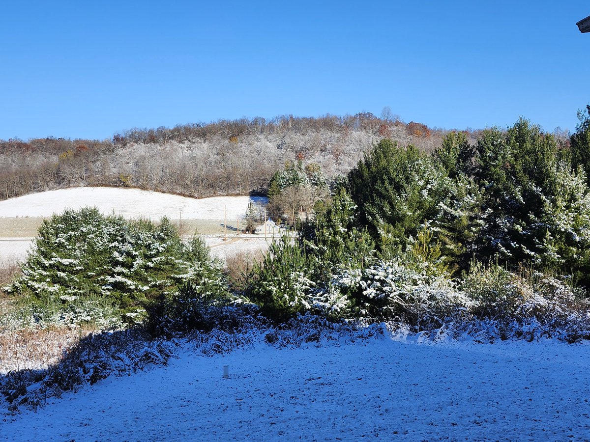 aresonian's tweet image. First snow of the season

#NaturePhotography 
#winterphotography
#firstsnow