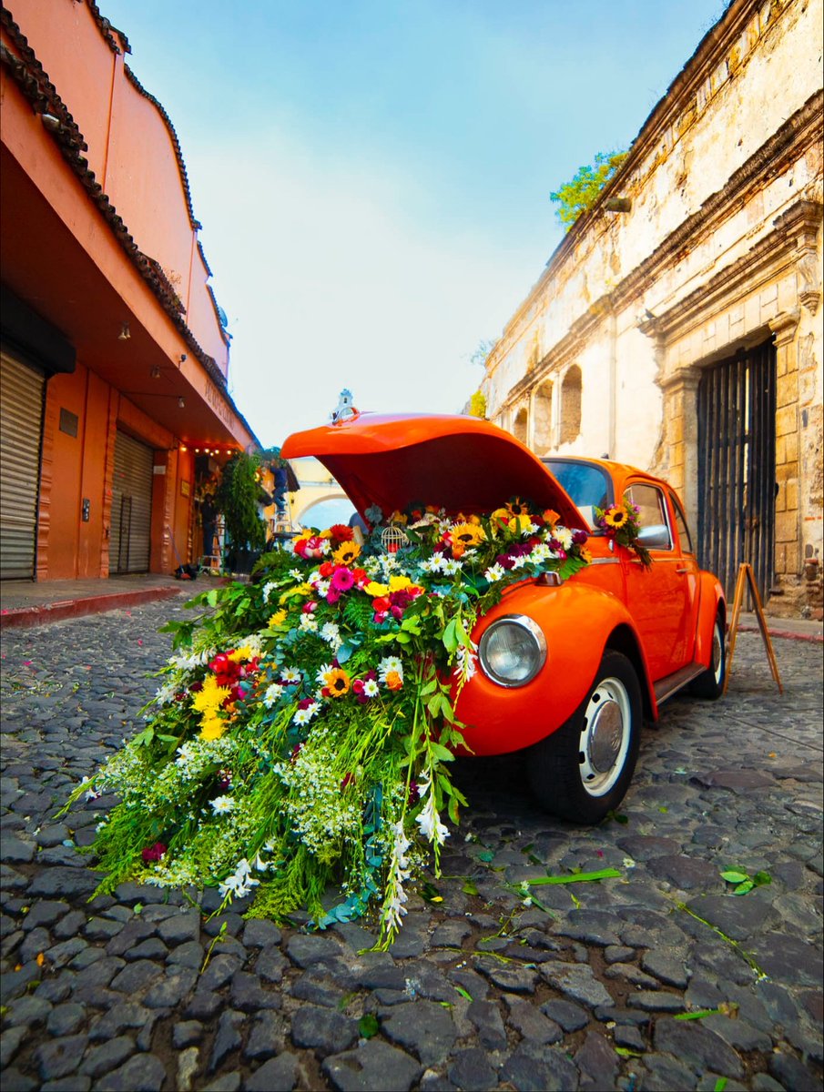 PublinewsGT's tweet photo. Este fin de semana se celebrará el 🌺🌼🌸 Festival de las Flores 2025 en Antigua Guatemala🌸🌼🌺 

Lee los detalles aquí: https://t.co/T2OSCW4Dlv

#FestivaldelasFlores #AntiguaGuatemala #EventosGT https://t.co/5LA9RamTHx