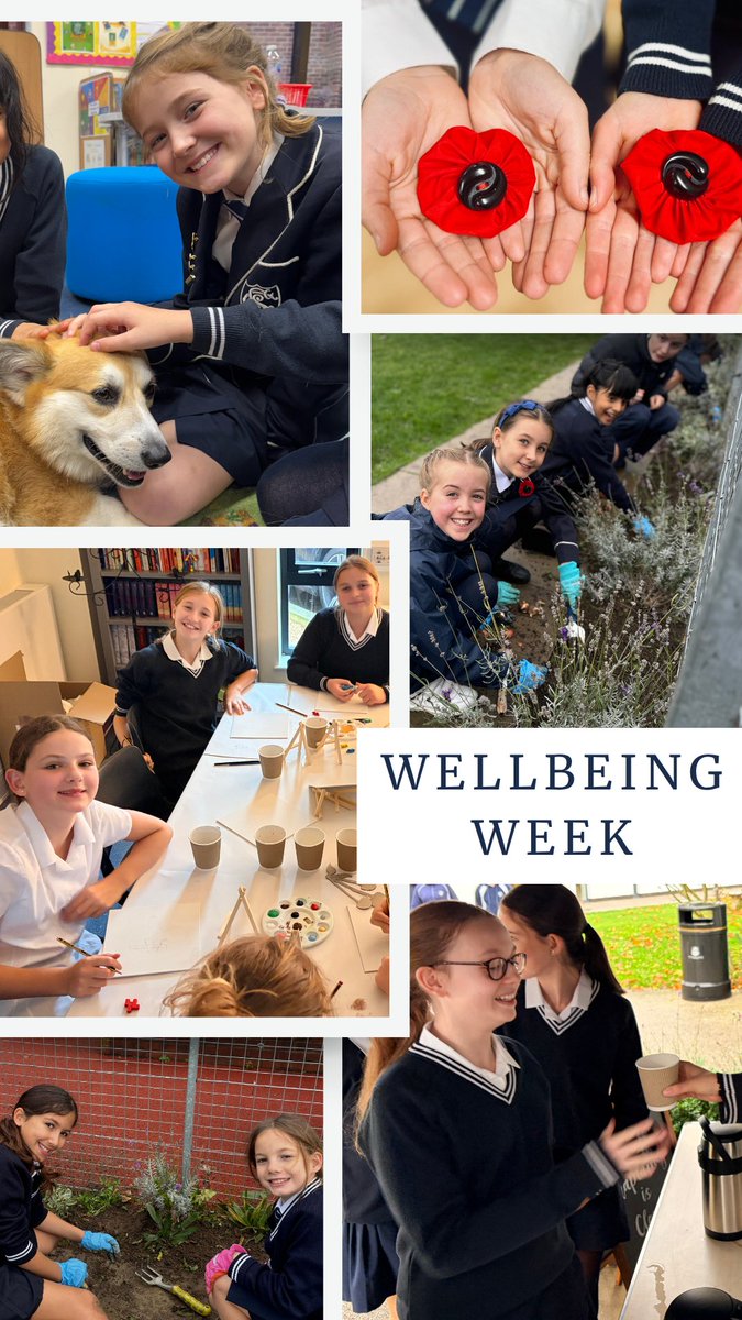 stcatherinessch's tweet image. ✨ Wellbeing Week is HERE! ✨
Theme: &quot;You will shine among them like stars in the sky.&quot; 🌟
Packed schedule for calm &amp;amp; confidence: Planting, Singing, Study Skills, Hot Chocolate, Therapy Dog visit, Mindfulness. #SCSdeedsnotwords #SCSgirlseducation #WellbeingWeek #MadeToShine