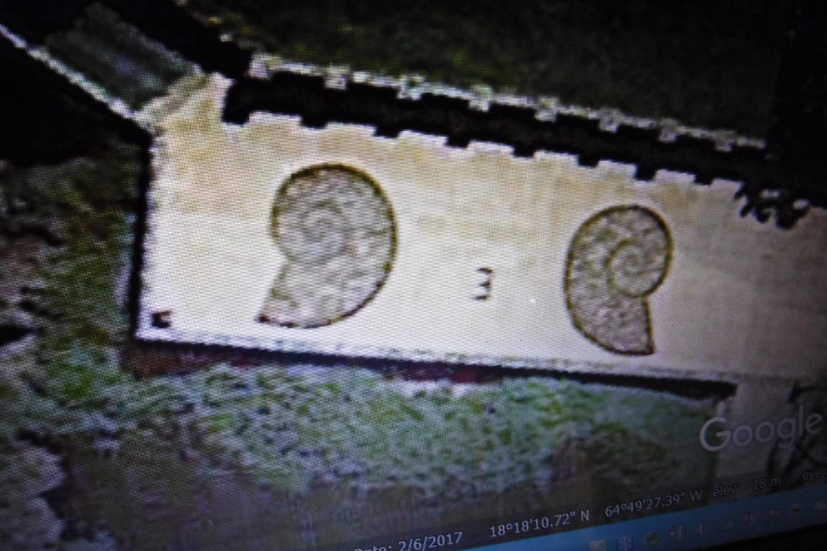 The symbols on Epstein's horror Island, are akin to the occult symbols, us ed by some famous analyst as study of the brain,&amp; the ear,