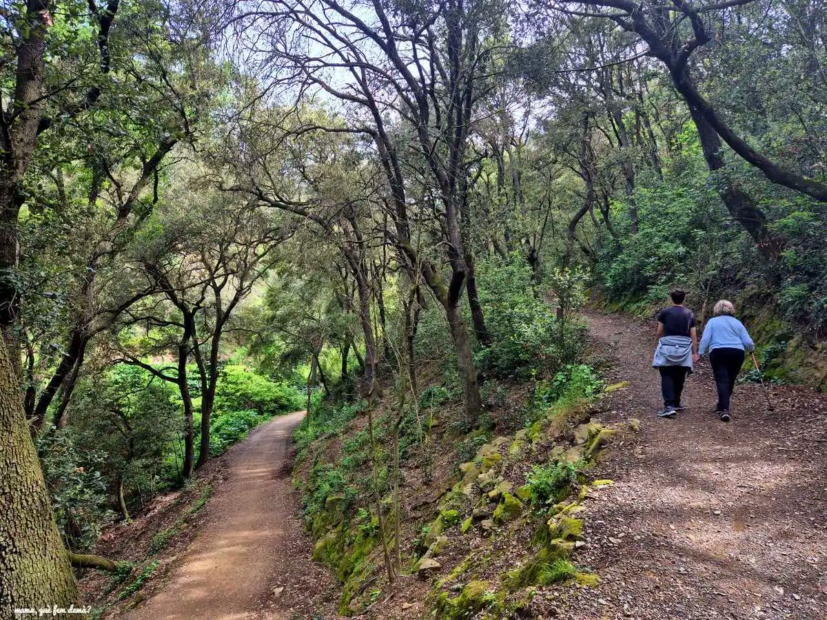 mamaquefemdema's tweet image. Disfruta de una ruta por la Font d’en Canet en #Collserola 🌿💧. Un paseo de senderismo accesible en tren desde #Barcelona, perfecto para disfrutar de la naturaleza en familia #fontdencanet #excursionesconninos #mamaquefemdema
mamaquefemdema.com/2025/05/12/fon…