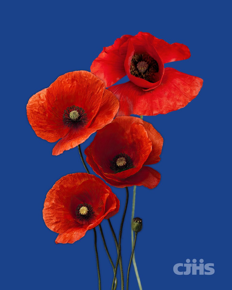 Calgary John Howard Society tweet media