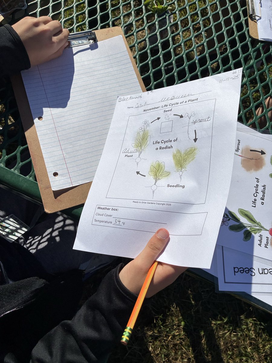 Angela Hoang tweet media