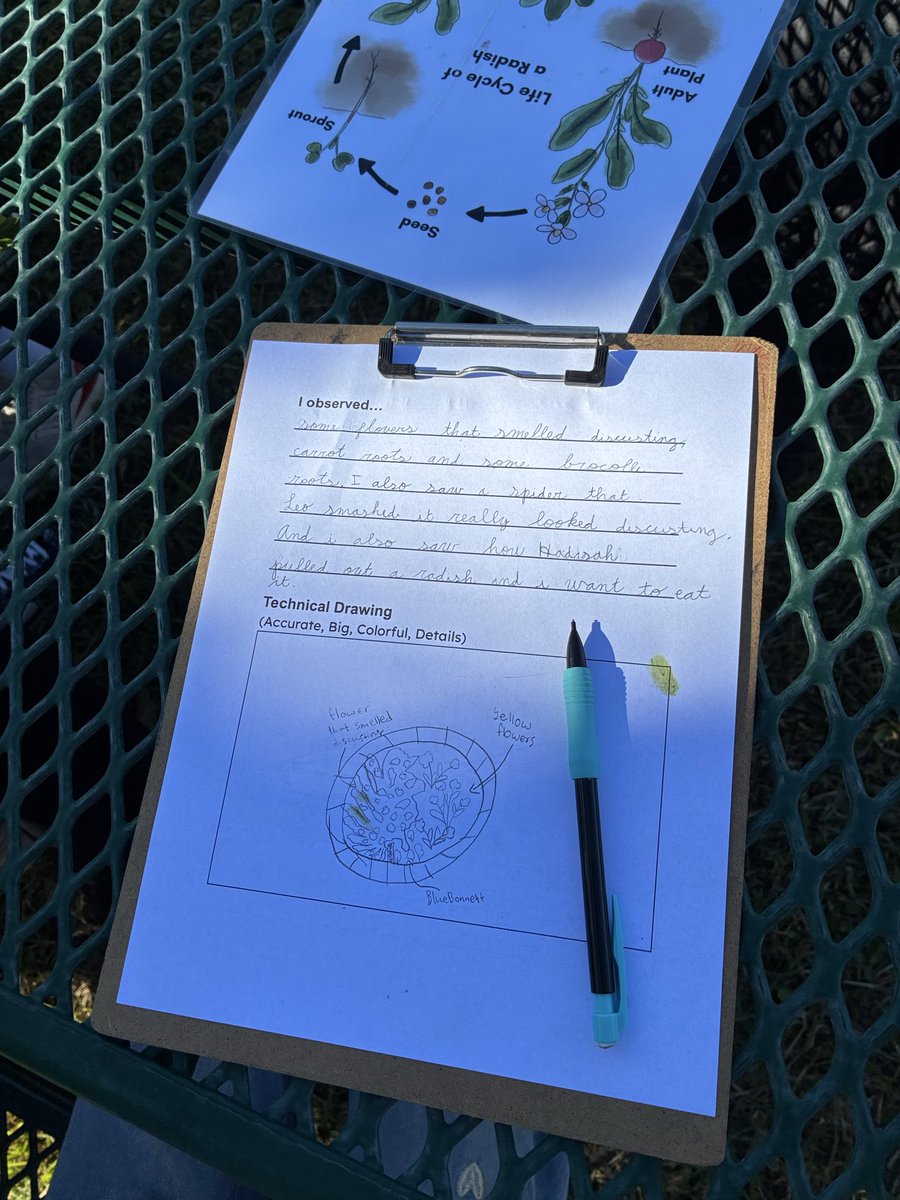 Angela Hoang tweet media