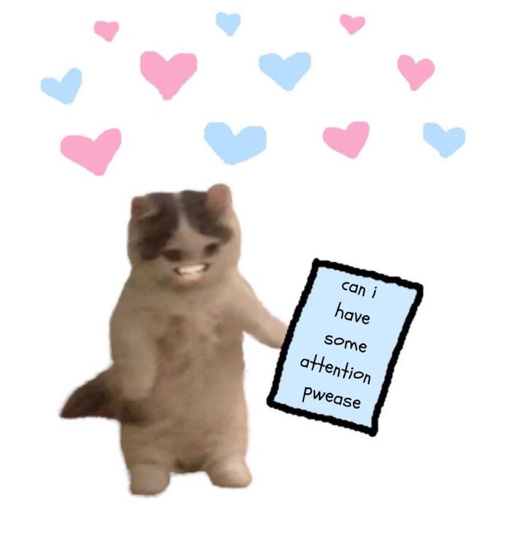 michi (@michionsolana) on Twitter photo 