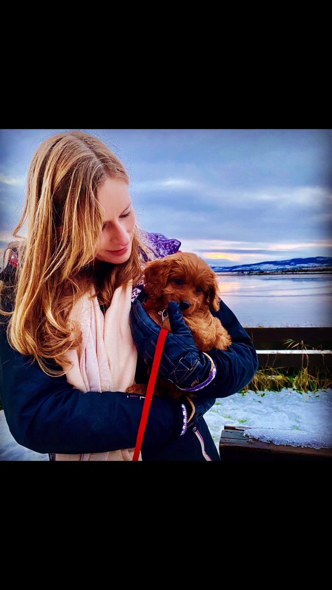 MorvenMay's tweet image. I can’t believe this little pudding is five years old! What a five years it’s been. I feel very lucky to have such an amazing friend as my wee Ember 😊#doglover #doglife #doglifestyle #dogsofinstagram #doglovers #cavapoos #cavapoodle #puppy #puppylove #puppies #pup #puppyoftheday