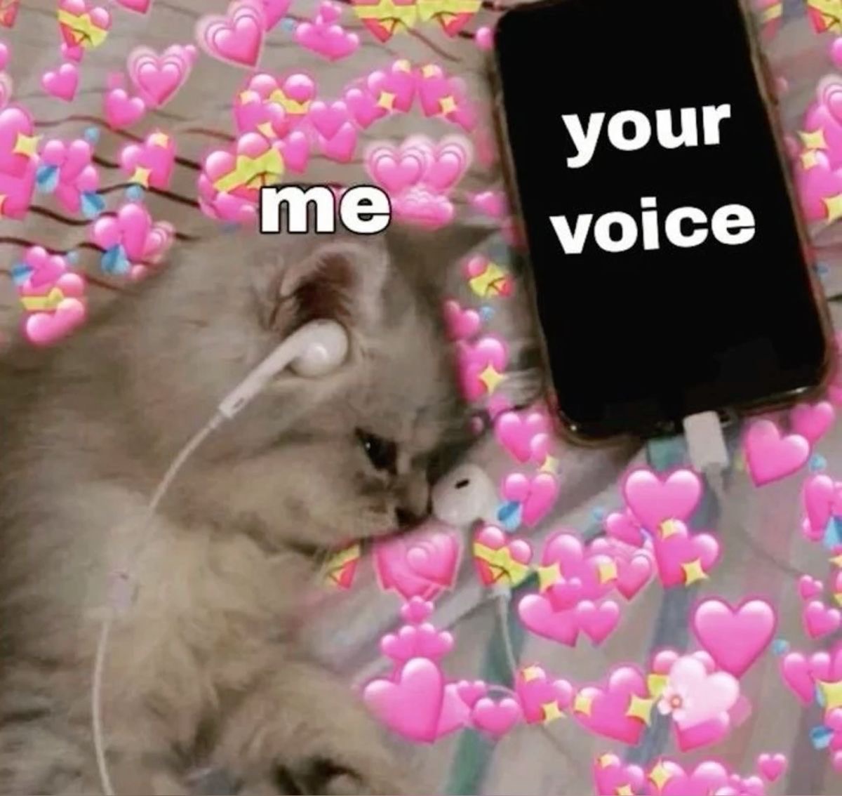 _mymsg's tweet image. 