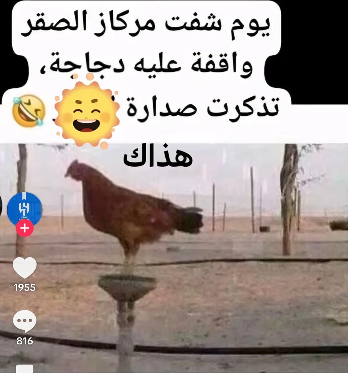 بالضبط 👍