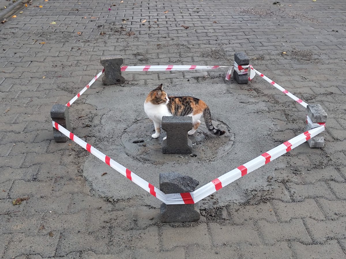 Ateş,su,toprak,tahta