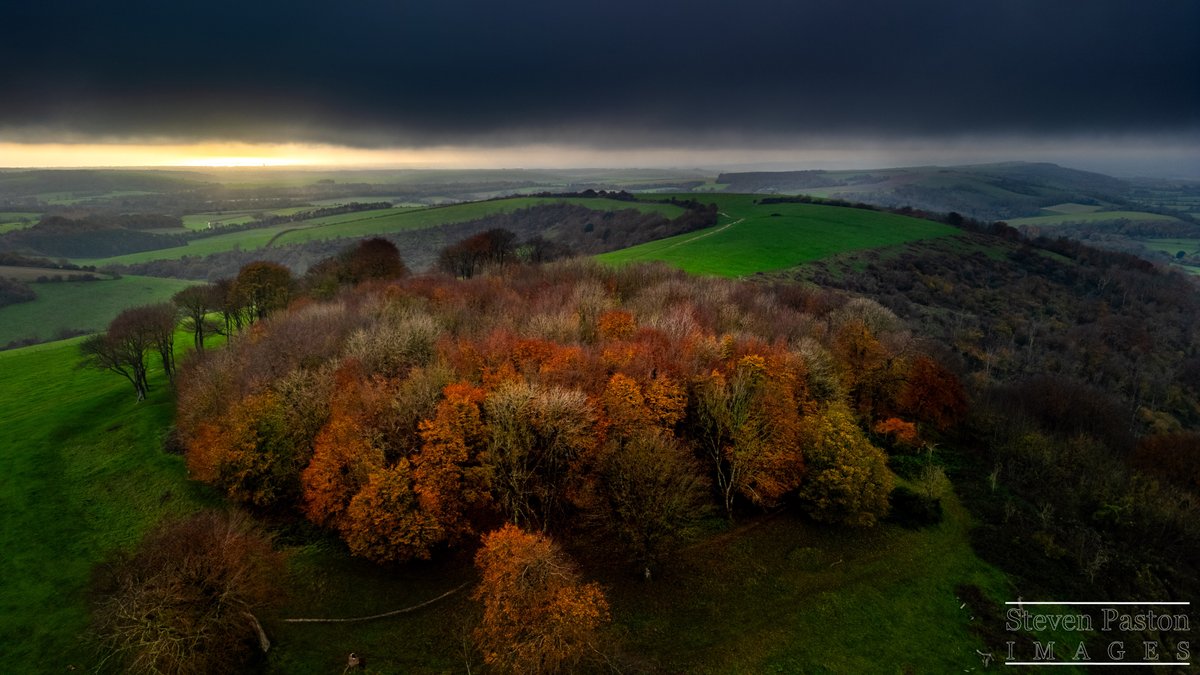StevenPaston's tweet image. Autumn colours at Chanctonbury Ring  on the South Downs @StormHour @ThePhotoHour @DJIGlobal #Mini3Pro
