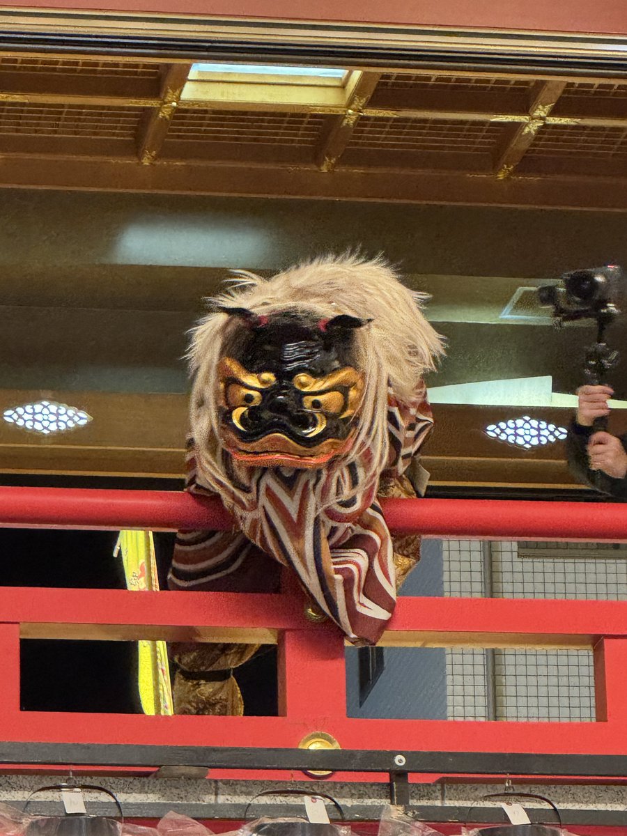 wankodo_andy's tweet photo. 鷲神社にて。
かっこいいの
カワイイの
ケモいの https://t.co/gs4poBN85R