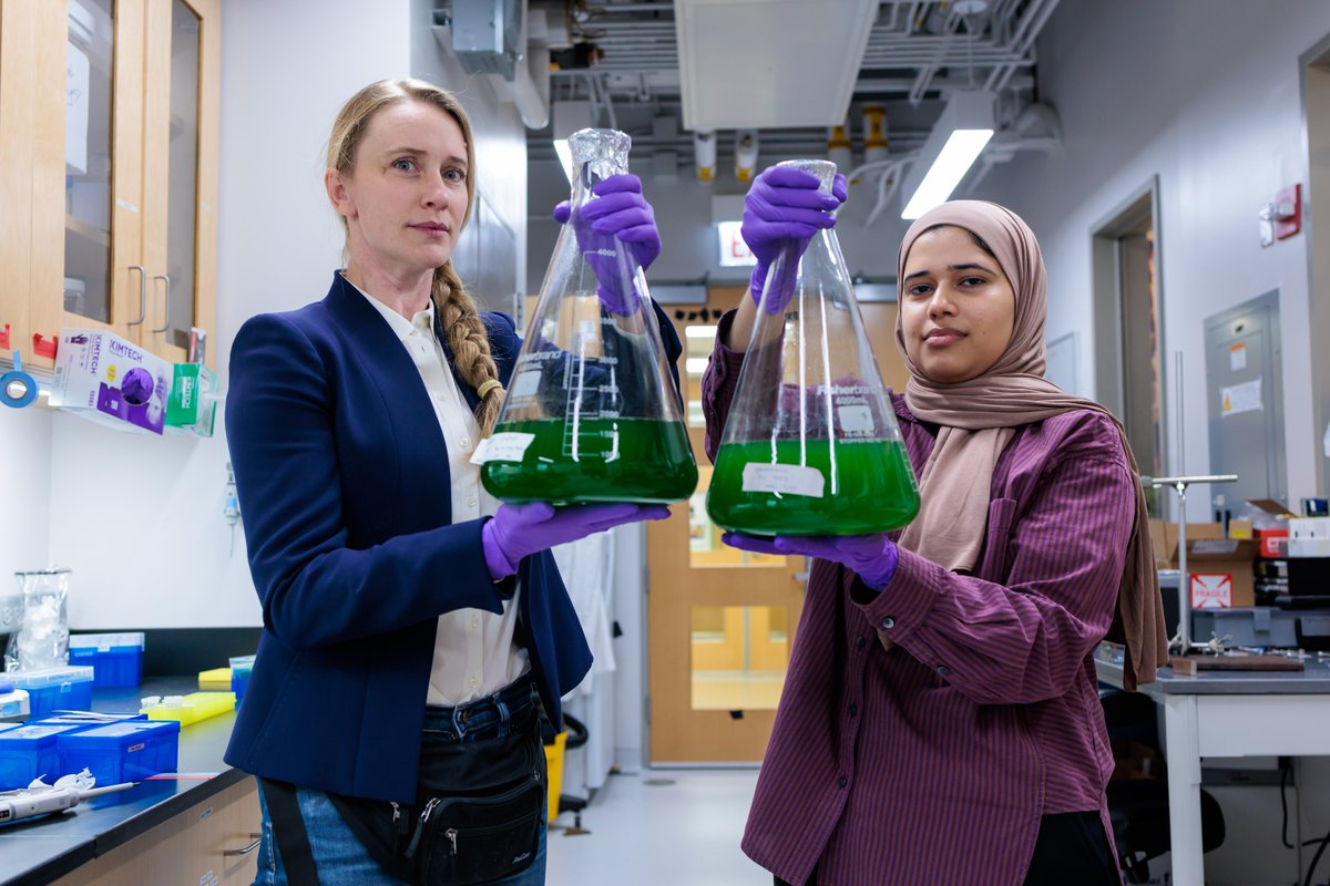 How do bacteria protect themselves from too much sun? 🦠 Researchers from UChicago PME have uncovered how photosynthetic bacteria use a kind of molecular “sunscreen” to adapt to changing light conditions.  

Learn more: pme.uchicago.edu/news/understan…

#Research #UChicago #Engineering