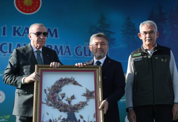 First image shows President Recep Tayyip Erdogan in a dark suit bending to plant a young pine tree using a shovel on green turf, assisted by two young children in white shirts with green logos, surrounded by a group of suited officials and women in headscarves standing on a stage-like area with blue and white decorations and flags. Second image depicts a large group of officials and dignitaries including men in suits and traditional robes clapping on a stage with a blue banner reading Milli Ağaçlandırma in white letters, logos of organizations, and a backdrop of trees. Third image features President Recep Tayyip Erdogan in a dark suit holding one side of a gold-framed artwork depicting a tree shaped like a crescent moon made from pressed leaves, flanked by two older men in suits and vests, with a blue banner in the background reading 81 İl Ağaçlandırma and Turkish flags. Fourth image captures a diverse group of participants including men in suits and casual attire, women in headscarves, and children in white shirts kneeling and using shovels to plant young pine trees on a dirt path lined with more trees under a clear sky.