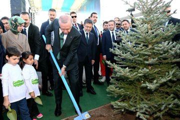 First image shows President Recep Tayyip Erdogan in a dark suit bending to plant a young pine tree using a shovel on green turf, assisted by two young children in white shirts with green logos, surrounded by a group of suited officials and women in headscarves standing on a stage-like area with blue and white decorations and flags. Second image depicts a large group of officials and dignitaries including men in suits and traditional robes clapping on a stage with a blue banner reading Milli Ağaçlandırma in white letters, logos of organizations, and a backdrop of trees. Third image features President Recep Tayyip Erdogan in a dark suit holding one side of a gold-framed artwork depicting a tree shaped like a crescent moon made from pressed leaves, flanked by two older men in suits and vests, with a blue banner in the background reading 81 İl Ağaçlandırma and Turkish flags. Fourth image captures a diverse group of participants including men in suits and casual attire, women in headscarves, and children in white shirts kneeling and using shovels to plant young pine trees on a dirt path lined with more trees under a clear sky.