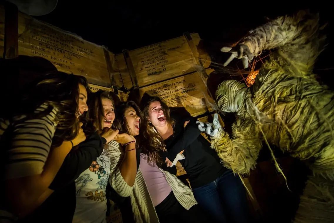 Dimension Parcs tweet media