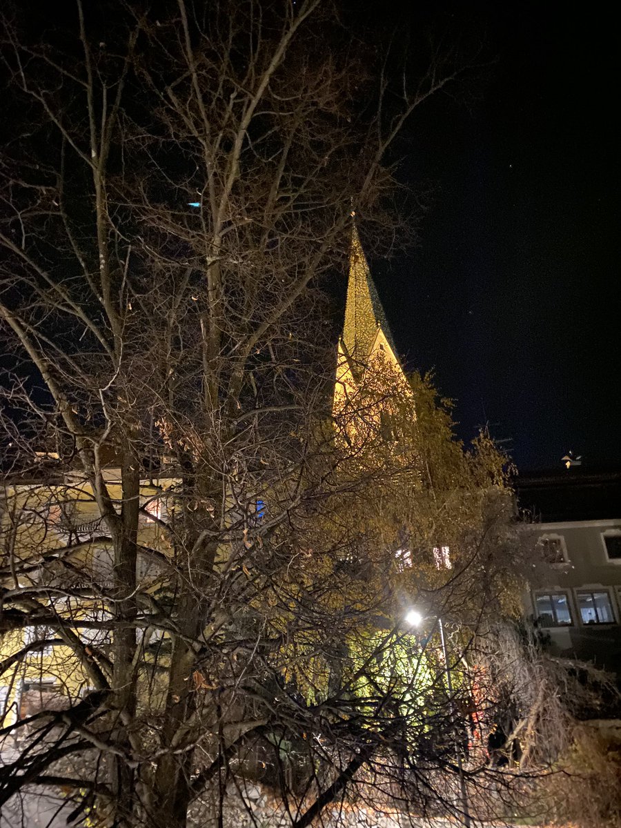 Sonia Zuccaro tweet media