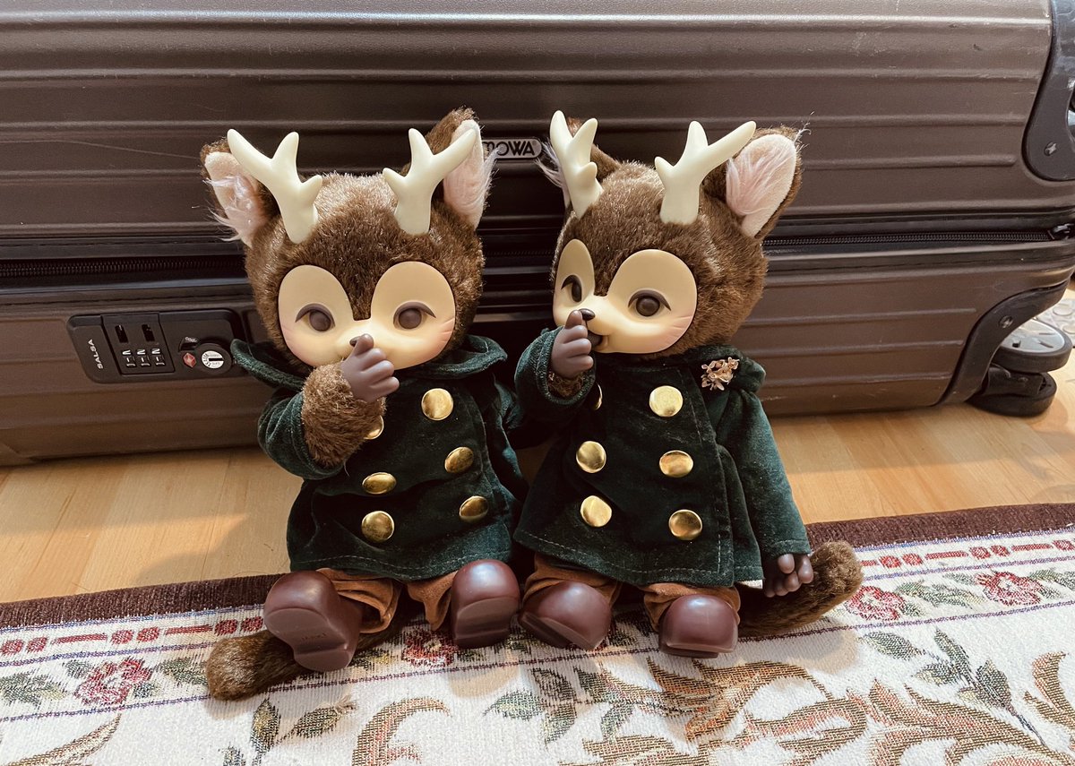 ひなたかほり🪴🐀 (@hinatique) / Posts / X