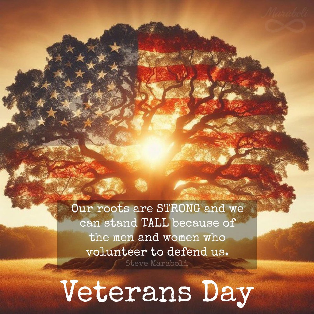 ShesAWarrior (@shesawarrior42) on Twitter photo 