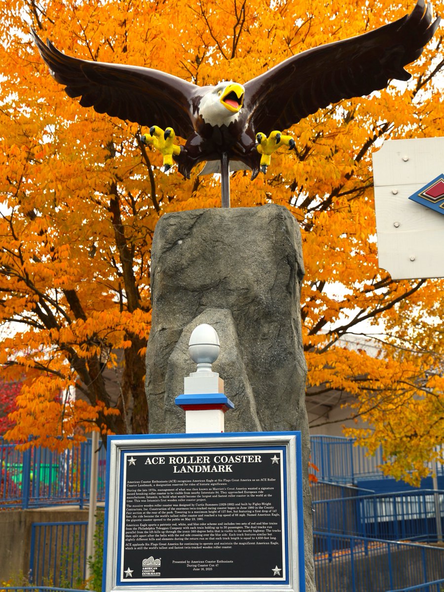 Fall really ACE'd the vibes this year at #SixFlagsGreatAmerica 🦅 🍂