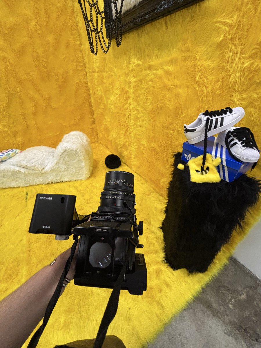 BEACASSO 📸 tweet media