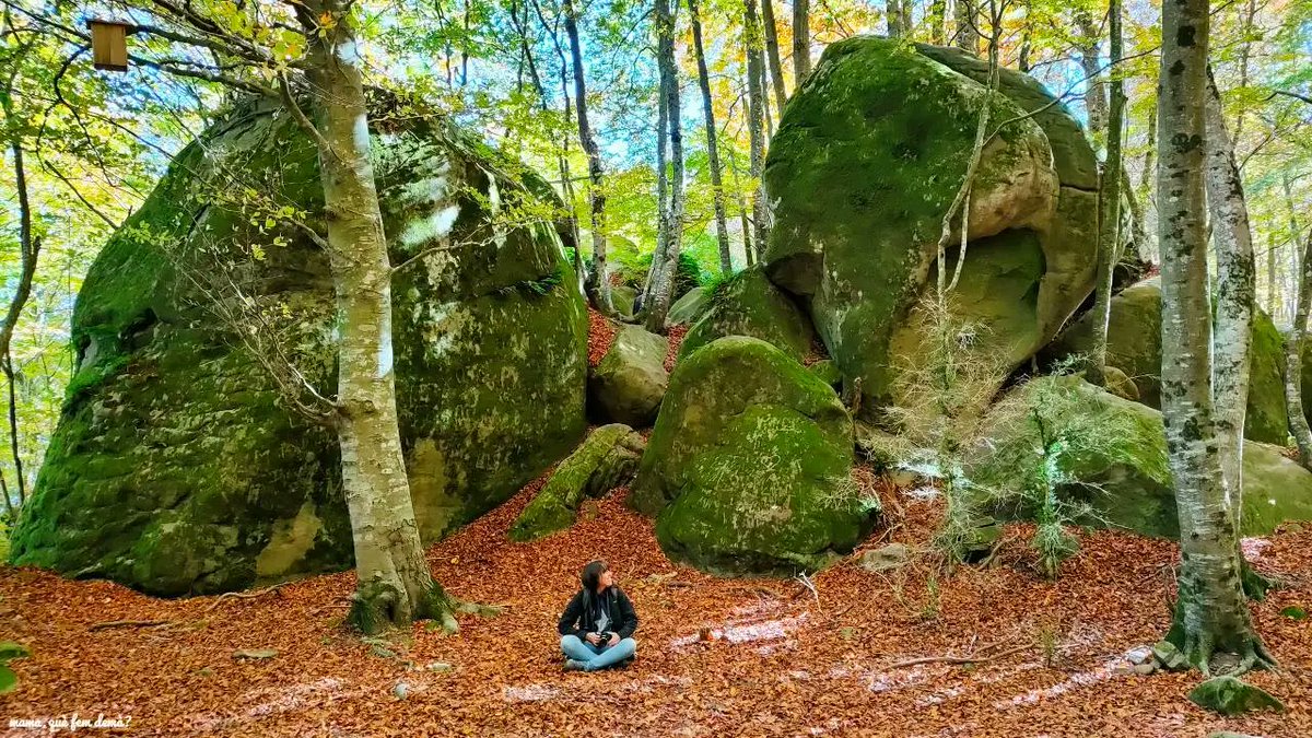 mamaquefemdema's tweet image. Selección de 20 excursiones de otoño en Catalunya 🍁 para disfrutar con niños. Recorre hayedos mágicos y bosques llenos de colores #otoño #excursionesconniños mamaquefemdema.com/2024/10/23/exc…