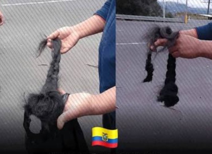 FrentesRojos's tweet photo. Detrás de la cuenta de Noboa parece haber un psicópata político.
Si no entendieron la referencia del “psicópata de cartón”, basta mirar sus actos: desprecio sistemático hacia la clase trabajadora, las minorías, los pueblos indígenas y campesinos.
#DileNo al psicópata de cartón. https://t.co/GaunnqJWql