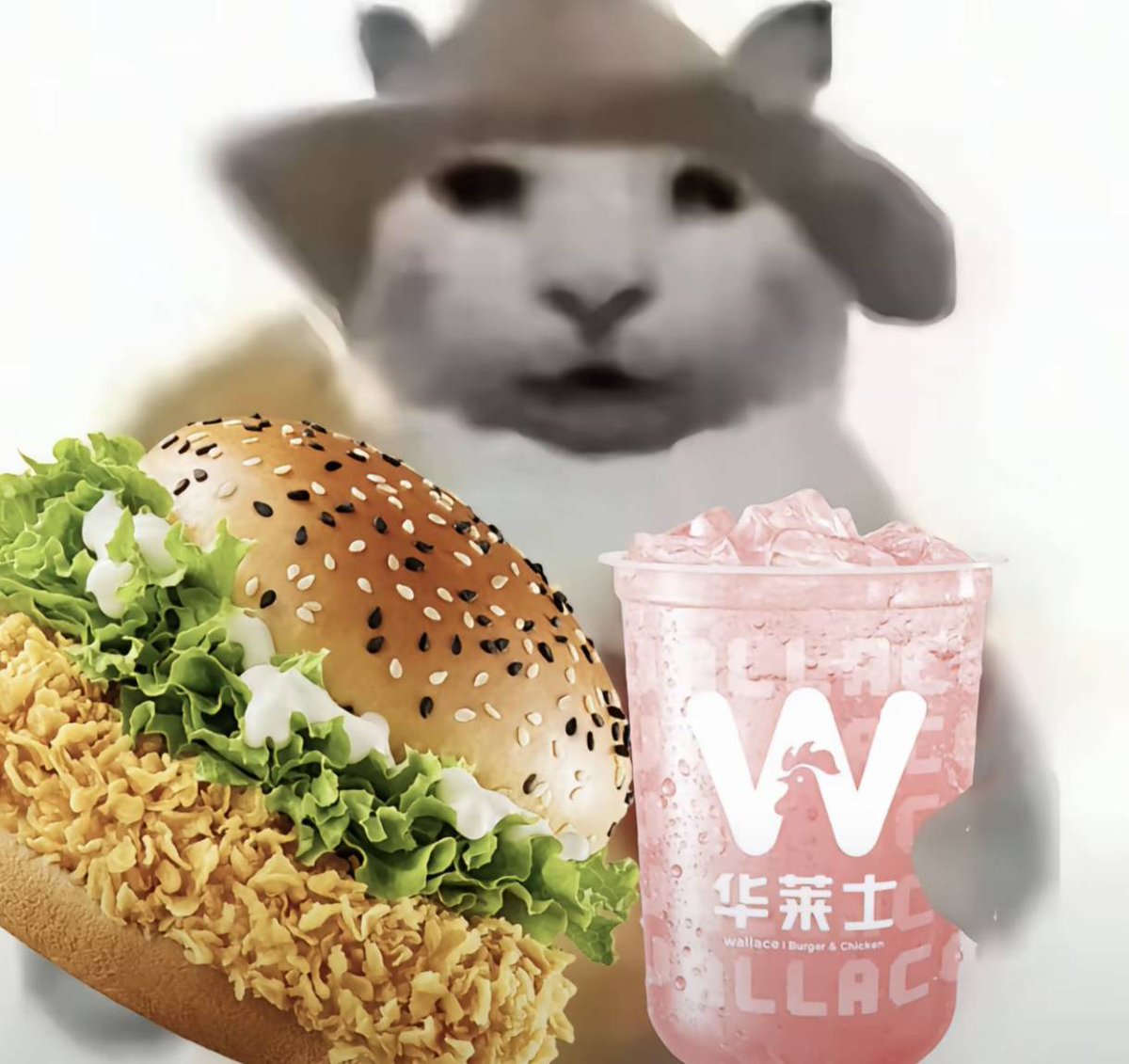 废物衍天 tweet media