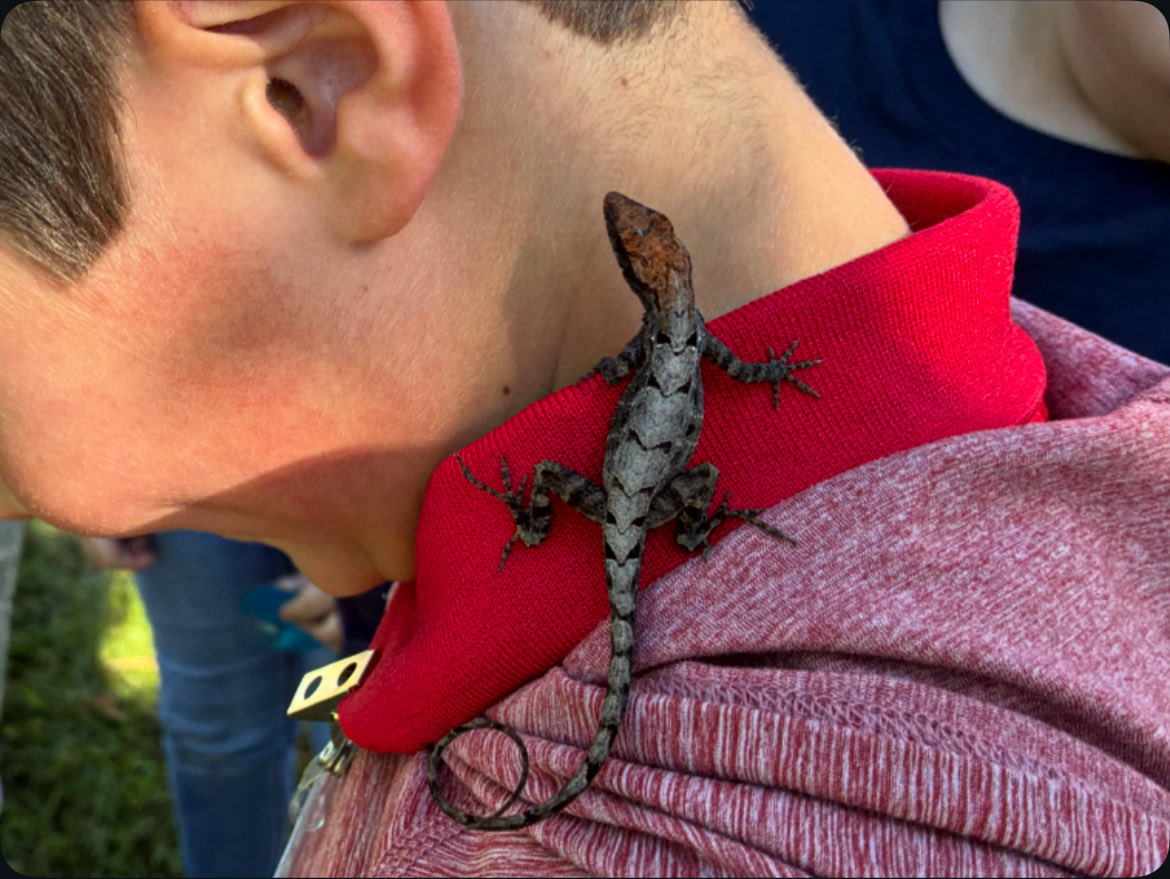 Angela Hoang tweet media